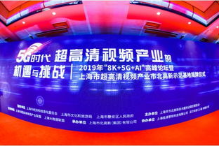 2019年 8k 5g ai技术 高峰论坛圆满举行