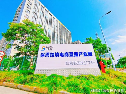 上海市丝路电商实践基地 外高桥直播基地