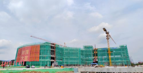 乌龙茶首个5g工厂 在福建武夷山封顶
