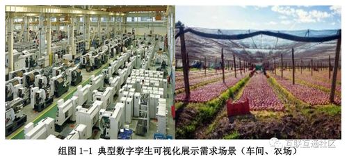什么是孪生图 csdn