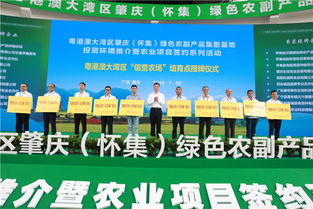 28宗项目投资381亿,怀集农副产品基地或成 中央厨房