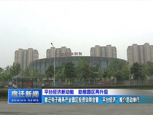 平台经济新动能 宿迁电子商务产业园区投资说明会暨 平台经济 推介活动举