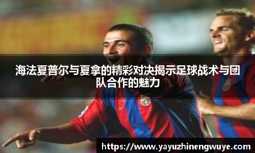 安博电竞官方网站